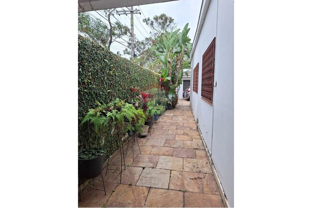 Casa Comercial - Alugar - São Paulo , São Paulo - WhatsApp Image 2025-09-02 at 15.44.22 (1).jpeg - 601971016-499