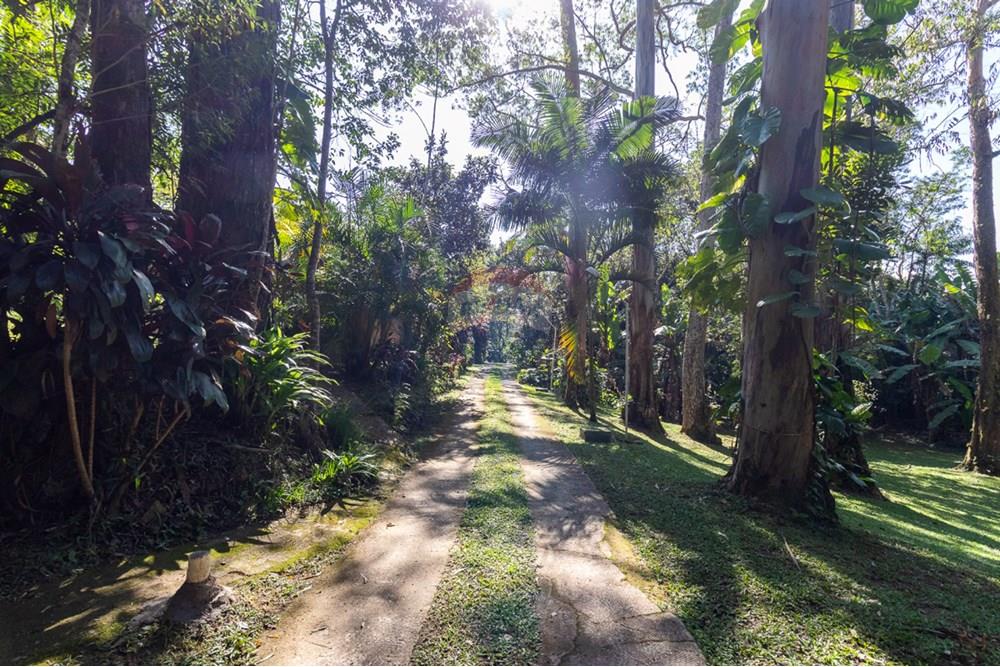 Chácara / Sítio / Fazenda - Venda - São Paulo , São Paulo - 35c9994d-3a30-4222-ad55-ab00fd8f1446.jpeg - 601251044-66