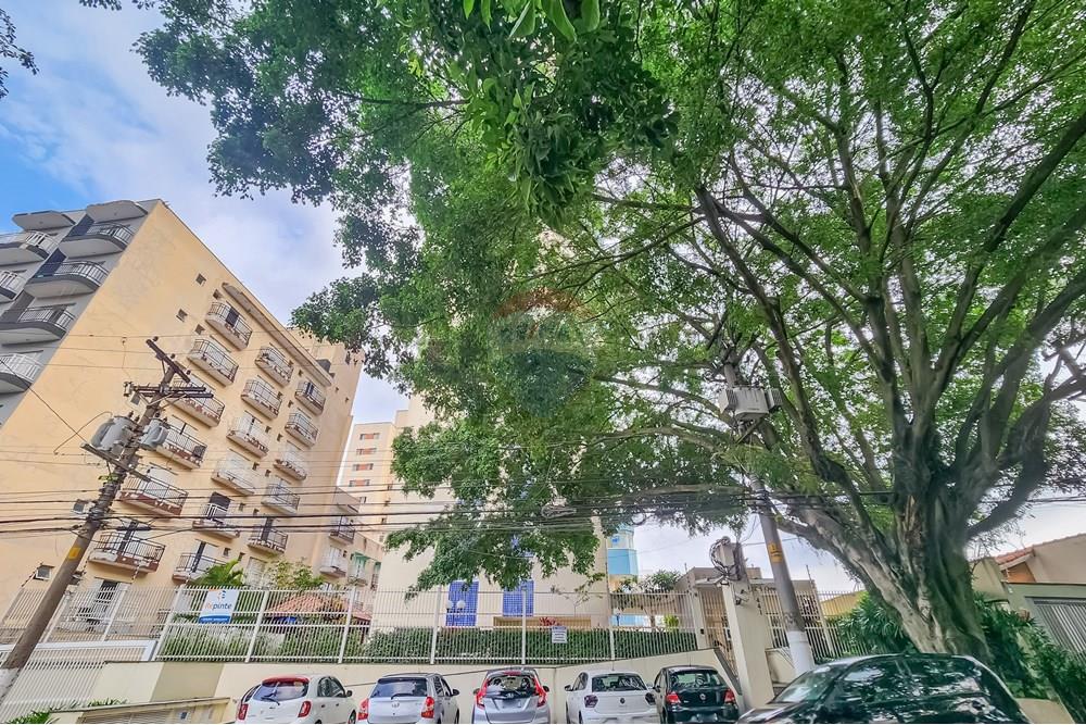 Apartamento - Venda - São Paulo , São Paulo - 20250417_16022510.jpg - 602031011-13