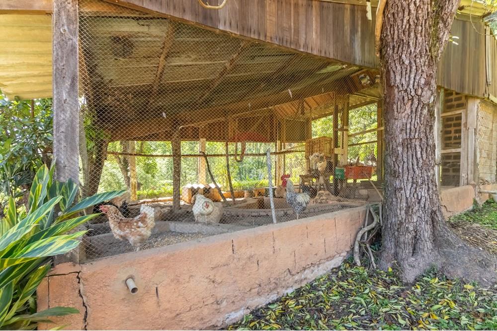 Sítio, 4 quartos, 7 hectares - Foto 84