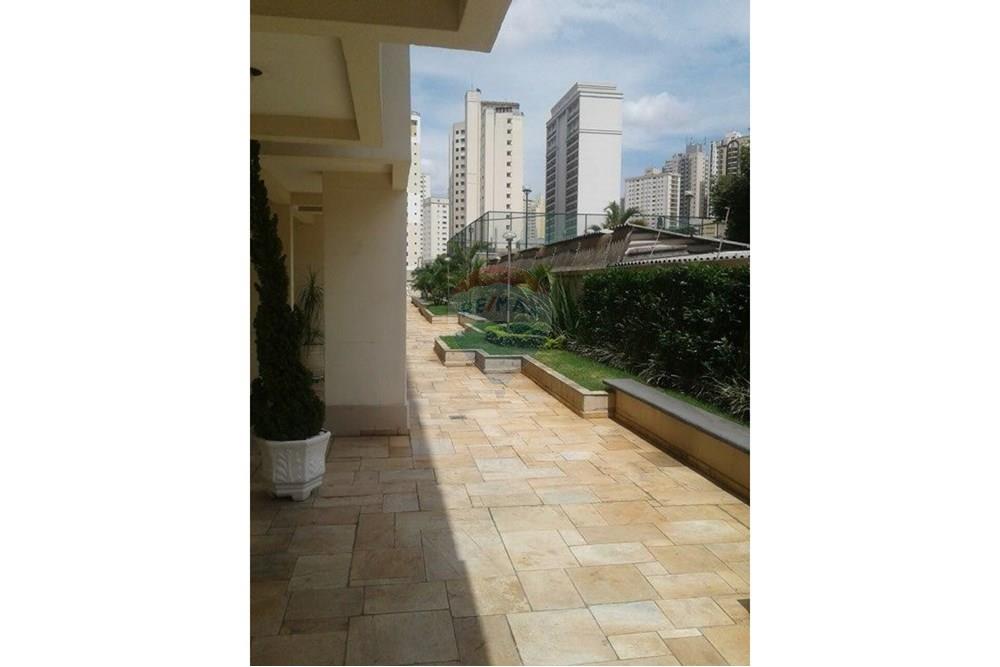 Apartamento - Alugar - São Paulo , São Paulo - 362BBDD5065AF59EB1953C2C76689EDF.JPG - 602291010-84