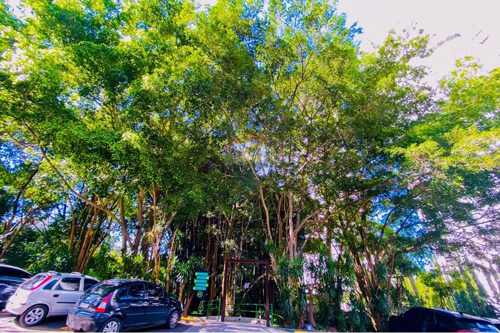 Cobertura - Venda - São Paulo , São Paulo - IMG_9270.jpg - 602361011-52