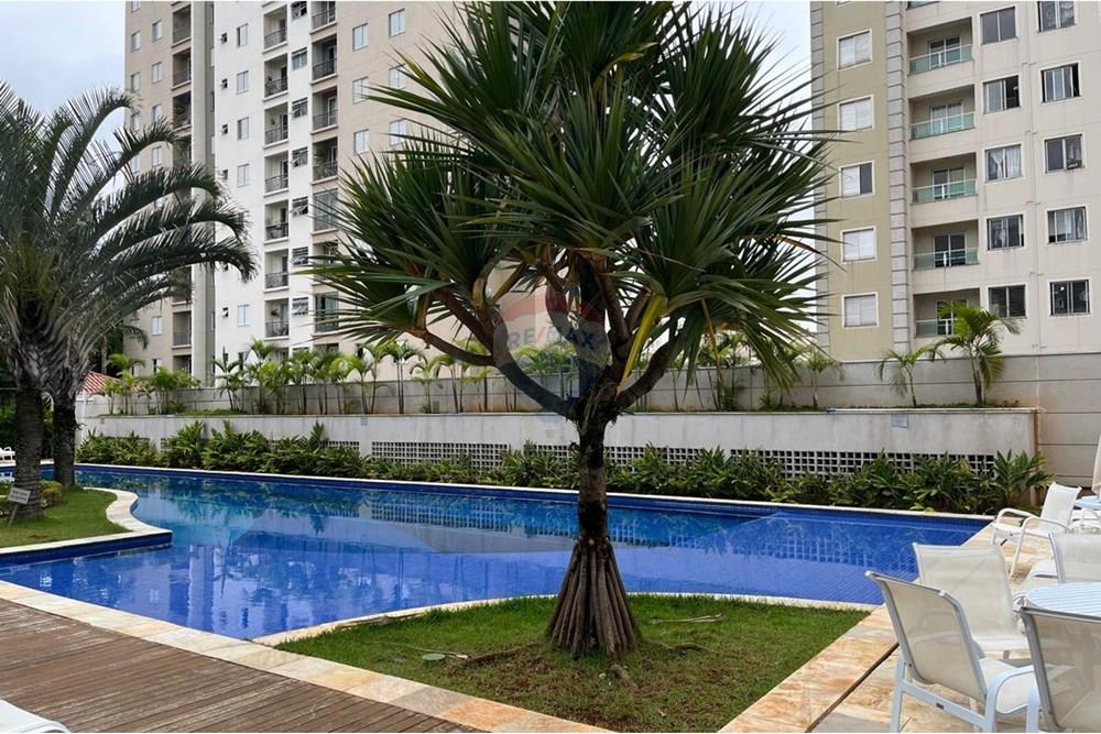 Apartamento - Alugar - São Paulo , São Paulo - WhatsApp Image 2024-08-01 at 19.27.36 (1).jpeg - 602141037-81