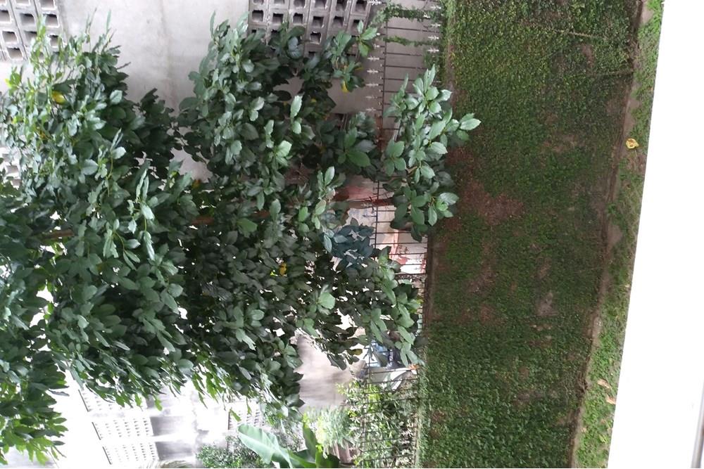 Apartamento - Alugar - São Paulo , São Paulo - 20241213_105820.jpg - 601051085-9