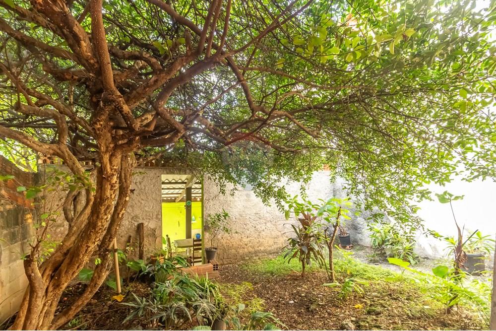 Casa - Venda - São Paulo , São Paulo - IMG_077451.jpg - 602181029-63