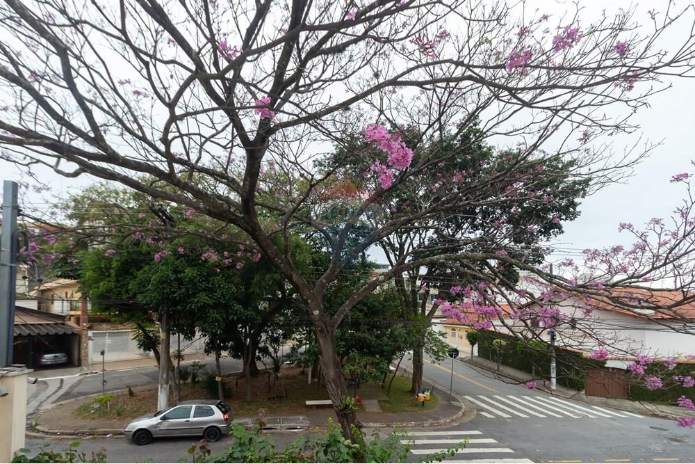 Sobrado - Venda - São Paulo , São Paulo - IMG_935832.jpg - 602261024-27