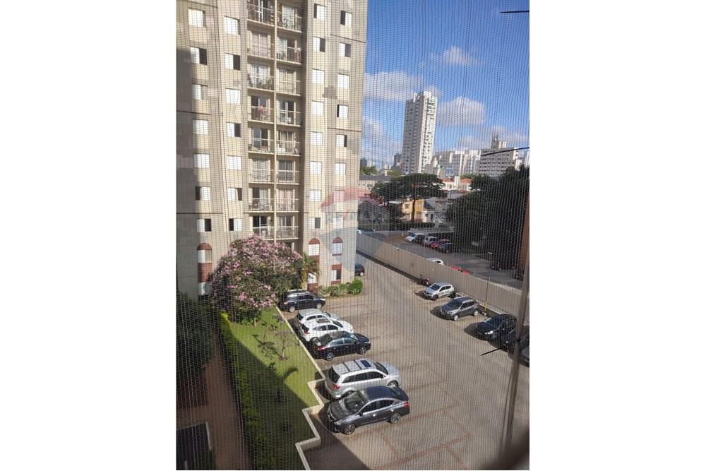 Apartamento - Alugar - São Paulo , São Paulo - WhatsApp Image 2025-02-28 at 10.15.40.jpeg - 601401020-51