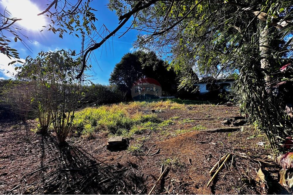 Casa - Venda - Cotia , São Paulo - IMG_8983.jpg - 602331010-36