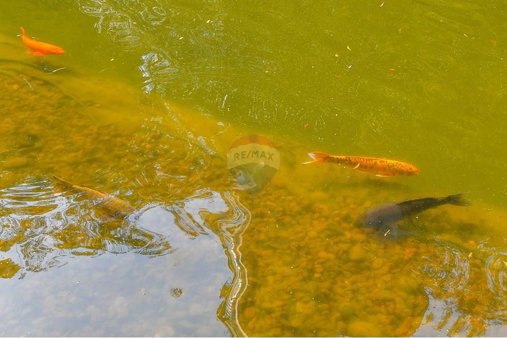 Cobertura - Venda - São Paulo , São Paulo - Foto-24.jpg - 601251016-70