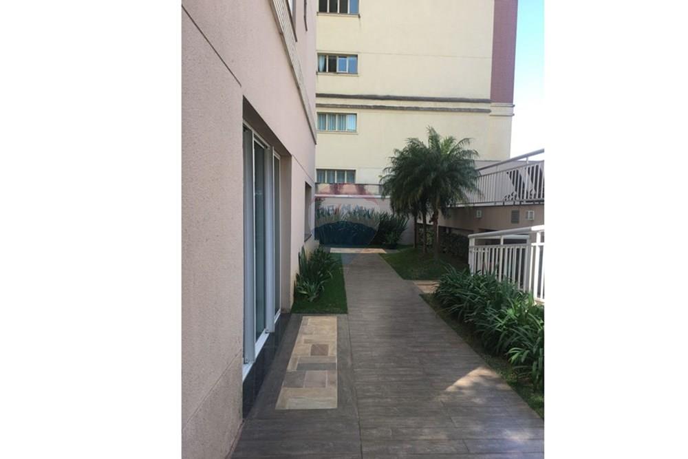 Apartamento - Alugar - São Paulo , São Paulo - WhatsApp Image 2025-08-18 at 17.37.48 (3).jpeg - 601051076-7