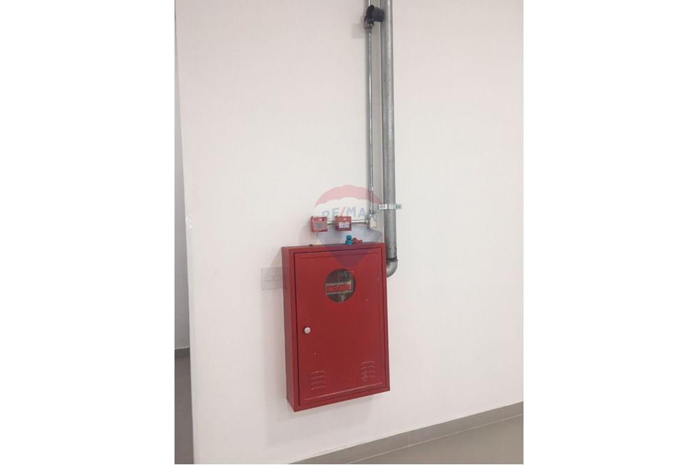 Galpão - Alugar - São Paulo , São Paulo - 6.jpeg - 602291016-130