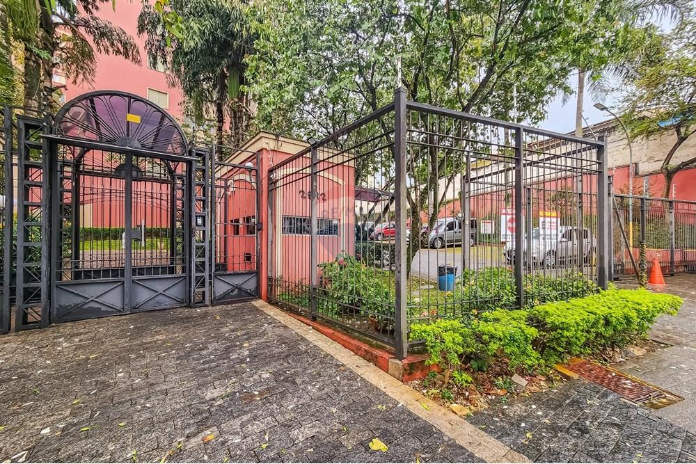 Apartamento - Venda - São Paulo , São Paulo - 20250922_08324202.jpg - 601991054-50