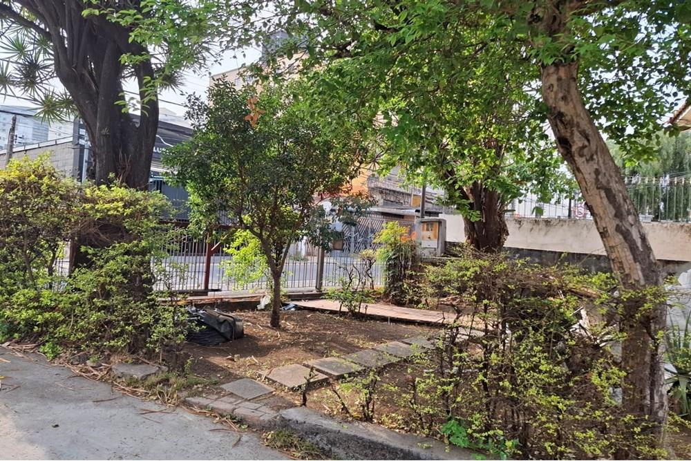 Terreno - Venda - São Paulo , São Paulo - 5.jpg - 602291016-216