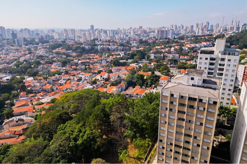 Terreno - Venda - São Paulo , São Paulo - DJI_0578.jpg - 602181016-315