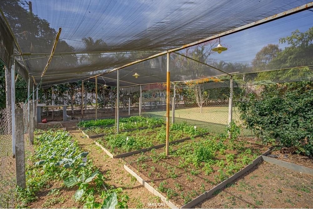 Casa de Condomínio - Venda - Campinas , São Paulo - 01fotos_062.jpg - 601251044-68