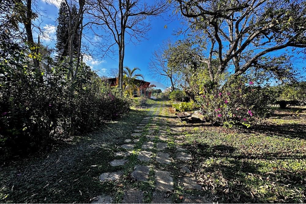 Terreno - Venda - Cotia , São Paulo - IMG_9050.jpg - 602331010-41