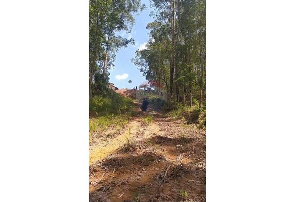 Terreno - Venda - São Paulo , São Paulo - foto10.jpeg - 601171010-41