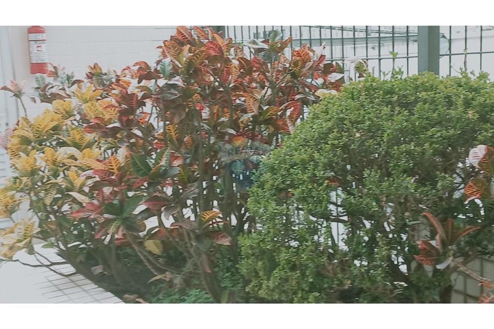 Apartamento - Alugar - São Paulo , São Paulo - WhatsApp Image 2025-10-08 at 15.11.56.jpeg - Jardim Interno - 602161018-27