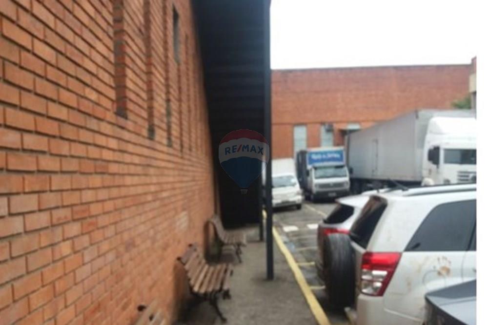 Galpão - Alugar - São Paulo , São Paulo - 6.jpeg - 602291021-242