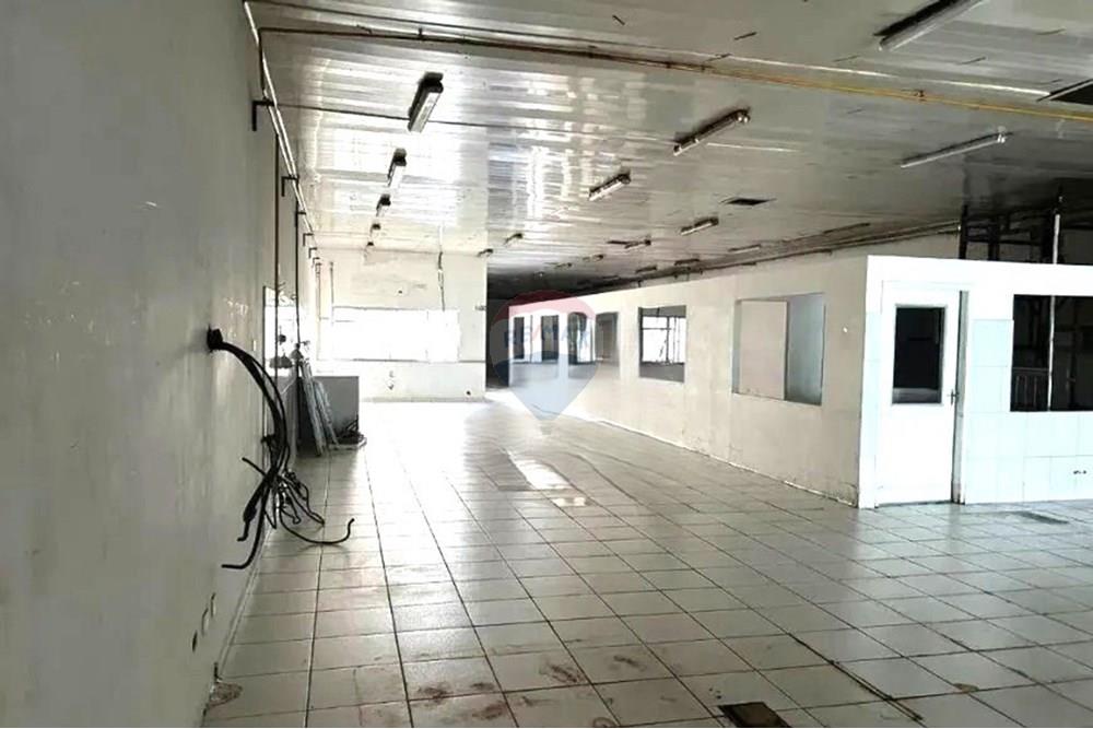 Galpão - Alugar - São Paulo , São Paulo - 8.jpg - 602291016-192