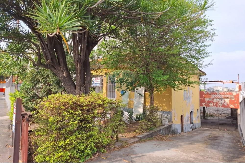 Terreno - Venda - São Paulo , São Paulo - 0.jpg - 602291016-216