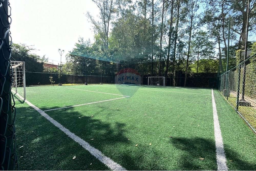 Apartamento - Alugar - São Paulo , São Paulo - WhatsApp Image 2025-10-16 at 11.30.43 (2).jpeg - 602331019-81