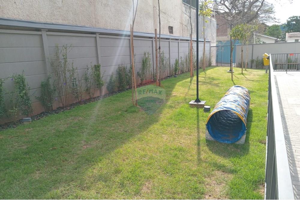 Apartamento - Alugar - São Paulo , São Paulo - WhatsApp Image 2025-09-04 at 15.12.30.jpeg - 602251013-29