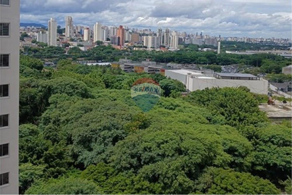 Apartamento - Alugar - São Paulo , São Paulo - L_bd2340a1-b560-4431-a28b-e3ab36fe90f0.jpg - 601471009-86