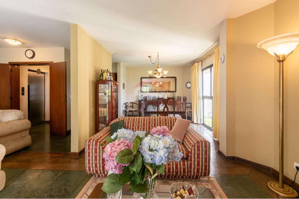 Apartamento - Venda - São Paulo , São Paulo - vila mascote-8.jpg - 602281025-9