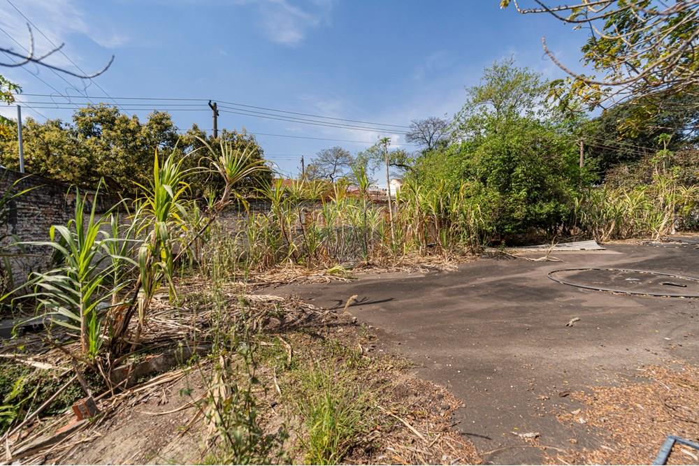 Terreno - Venda - São Paulo , São Paulo - 601301082-18-10.JPG - 601301082-20