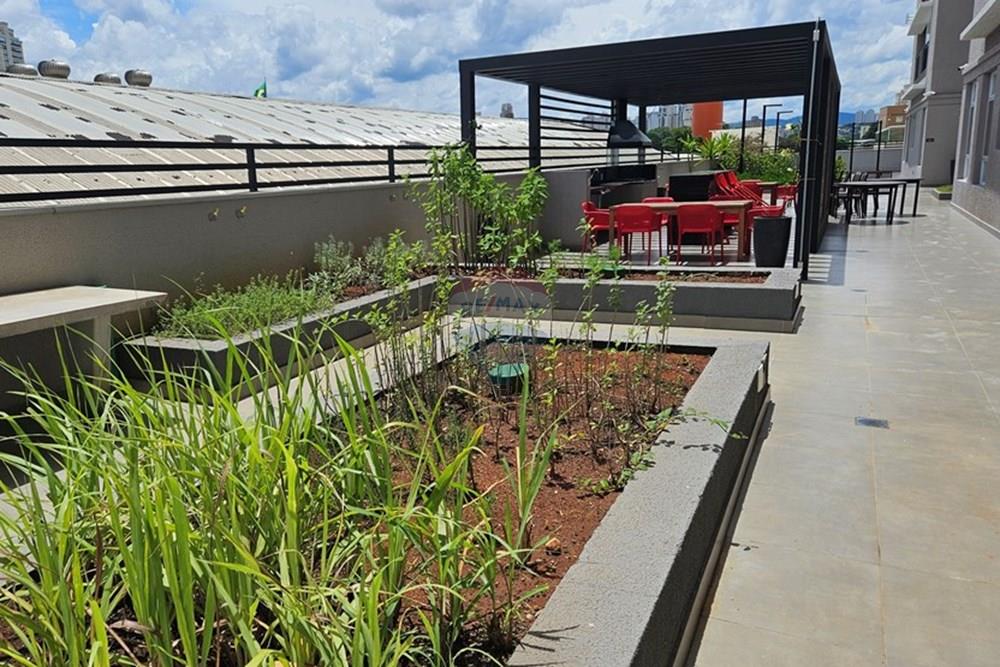 Apartamento - Alugar - São Paulo , São Paulo - 20250205_124253.jpg - 602101009-32