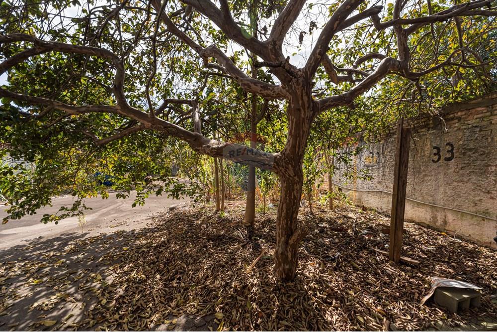 Terreno - Venda - São Paulo , São Paulo - 601301082-18-2.JPG - 601301082-20