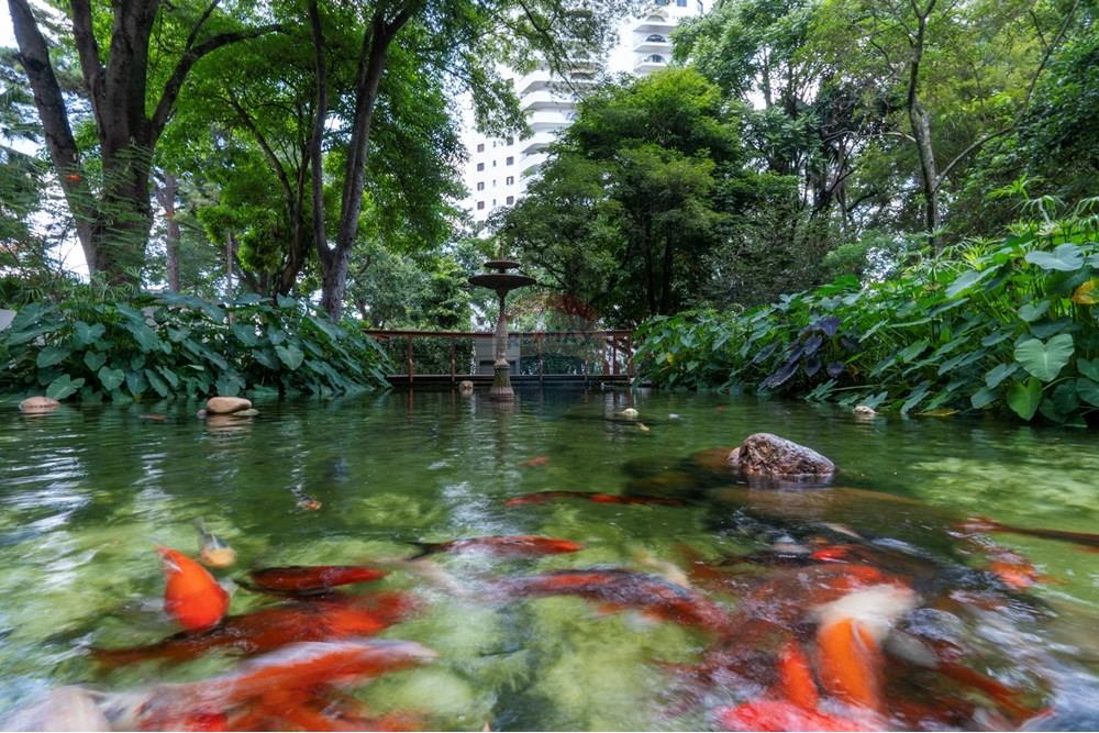 Apartamento - Venda - São Paulo , São Paulo - 46-DSC08609.jpg - 601241007-55