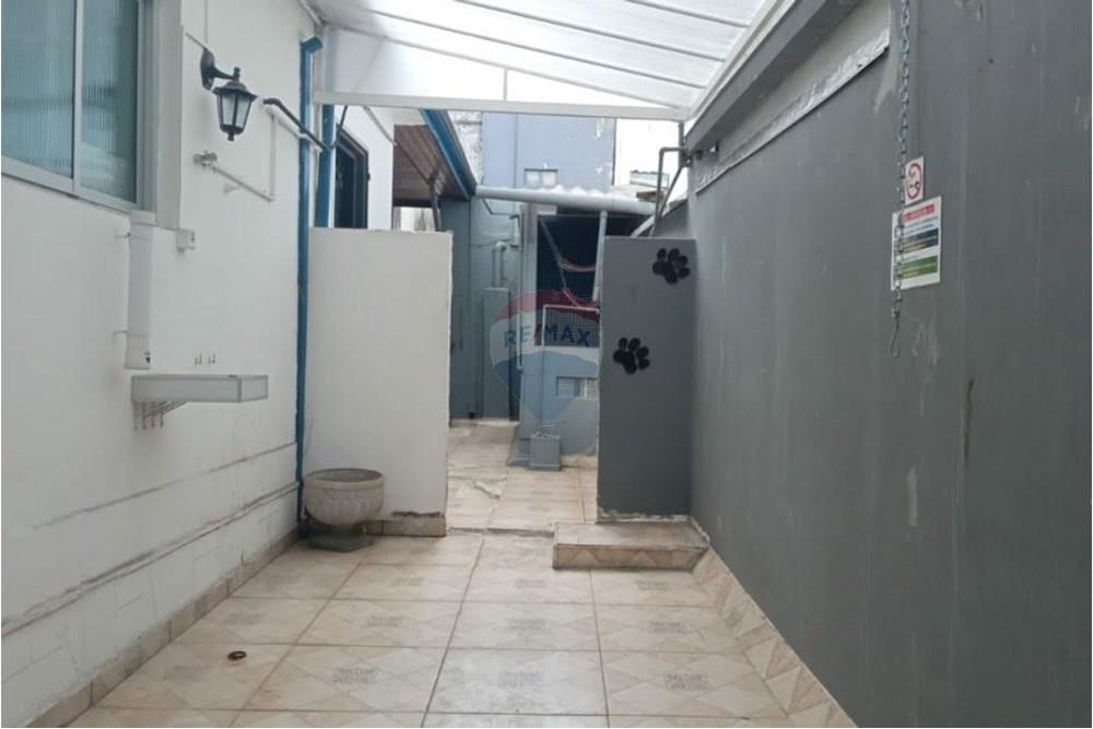 Prédio - Alugar - São Paulo , São Paulo - 6.JPG - 602291003-9