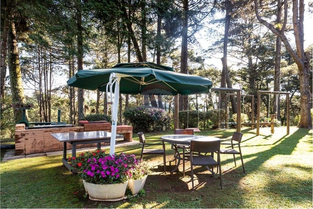 Chácara, 6 quartos, 7 hectares - Foto 39