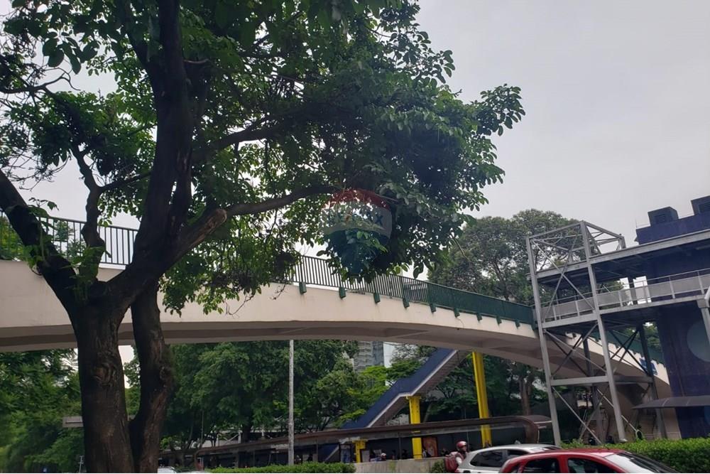 Cj. Comercial/ Sala - Alugar - São Paulo , São Paulo - WhatsApp Image 2024-12-08 at 7.29.40 PM (2).jpeg - 601241003-142