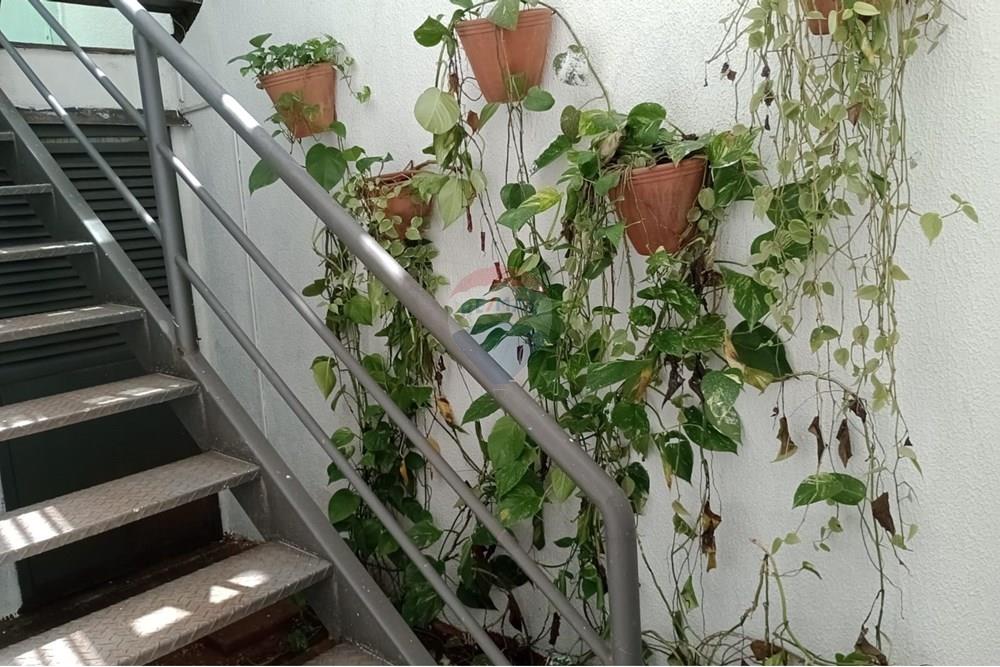 Prédio - Alugar - São Paulo , São Paulo - 7bfda359-51d8-4e8c-b51c-21532d741a8d.jpeg - 602261011-31