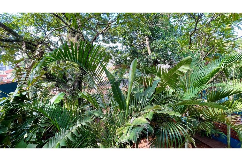 Casa - Venda - São Paulo , São Paulo - IMG_6401.JPEG - 602241008-40