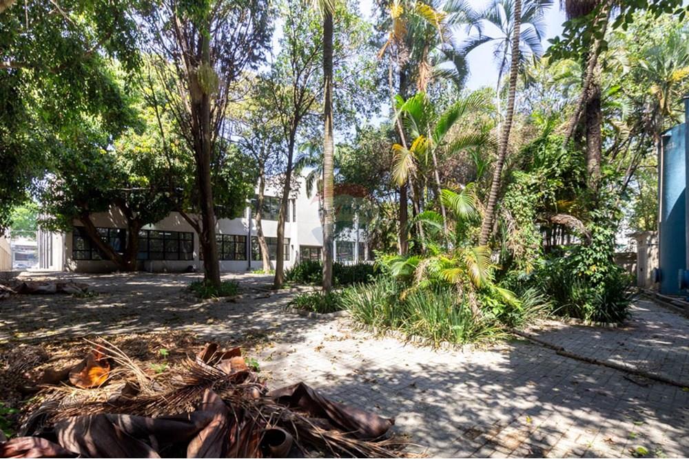 Galpão - Alugar - São Paulo , São Paulo - 19 FUNDOS (5) .jpg - 601261091-15