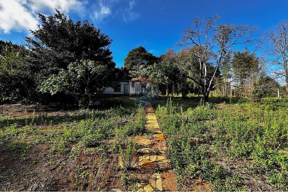 Casa - Venda - Cotia , São Paulo - IMG_8960.jpg - 602331010-36