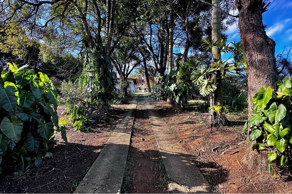 Casa - Venda - Cotia , São Paulo - IMG_8981.jpg - 602331010-36