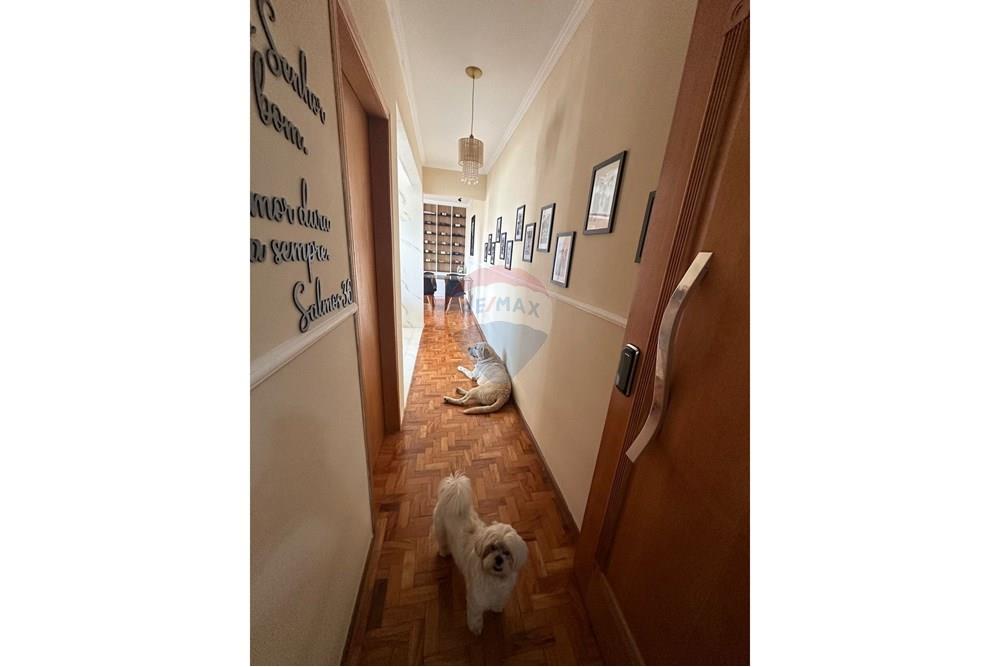 Apartamento - Alugar - São Paulo , São Paulo - WhatsApp Image 2025-09-30 at 20.30.30 (1).jpeg - 601261097-17