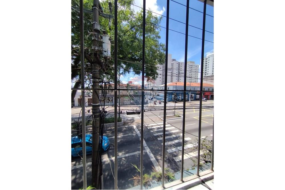 Apartamento - Alugar - São Paulo , São Paulo - WhatsApp Image 2025-01-29 at 17.34.08 (2).jpeg - 602141037-41