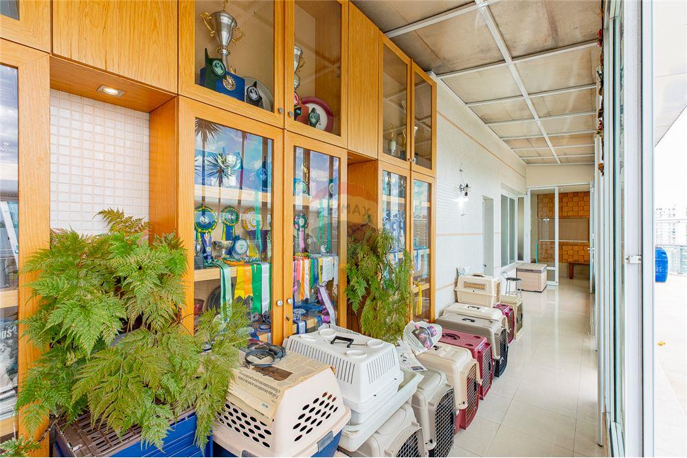 Cobertura - Venda - São Paulo , São Paulo - Pet Care - Quintal - 601371001-86