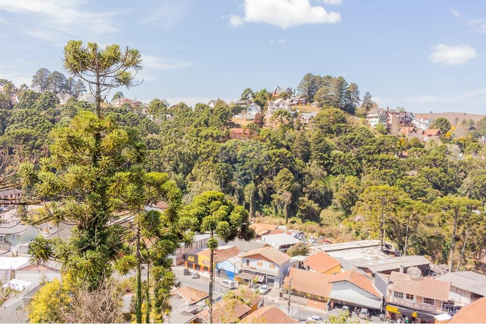Apartamento à venda com 3 quartos, 101m² - Foto 39