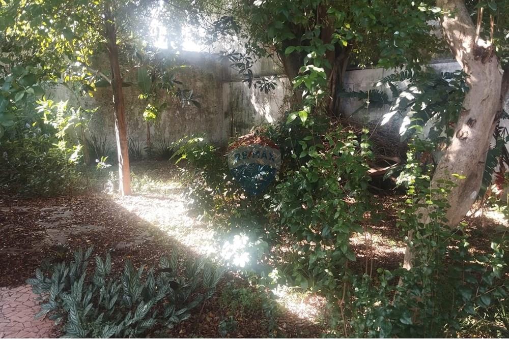 Casa - Alugar - São Paulo , São Paulo - WhatsApp Image 2025-03-07 at 16.34.13.jpeg - 602301011-83