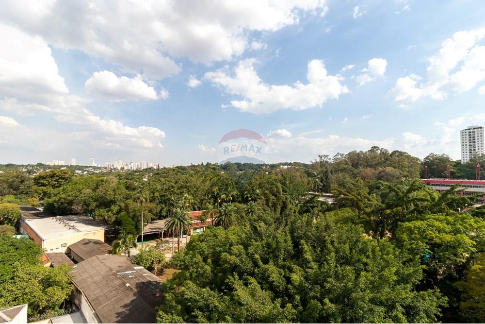 Cobertura - Venda - São Paulo , São Paulo - WhatsApp Image 2024-12-01 at 18.37.56.jpeg - 601251086-352