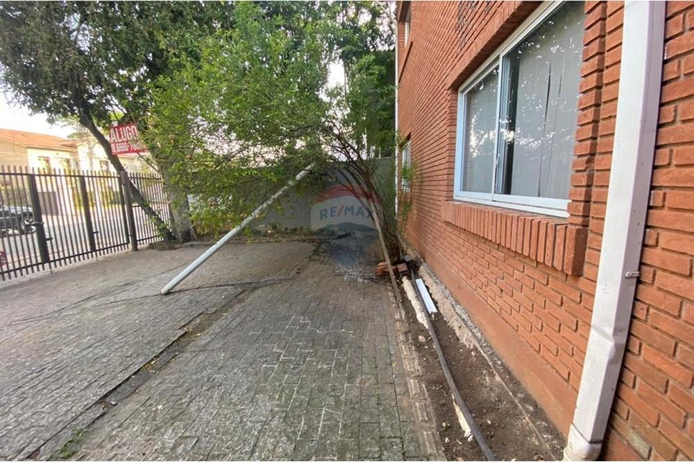 Casa Comercial - Alugar - São Paulo , São Paulo - WhatsApp Image 2025-02-06 at 12.53.06 (1).jpeg - 602301011-39