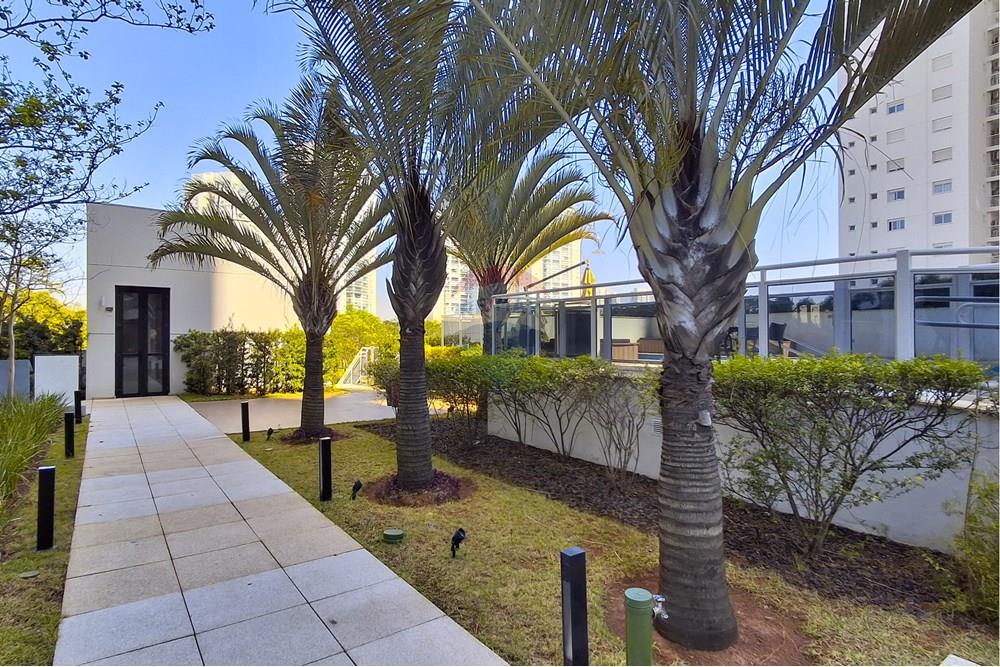 Apartamento - Alugar - São Paulo , São Paulo - 6.jpg - 602341005-79