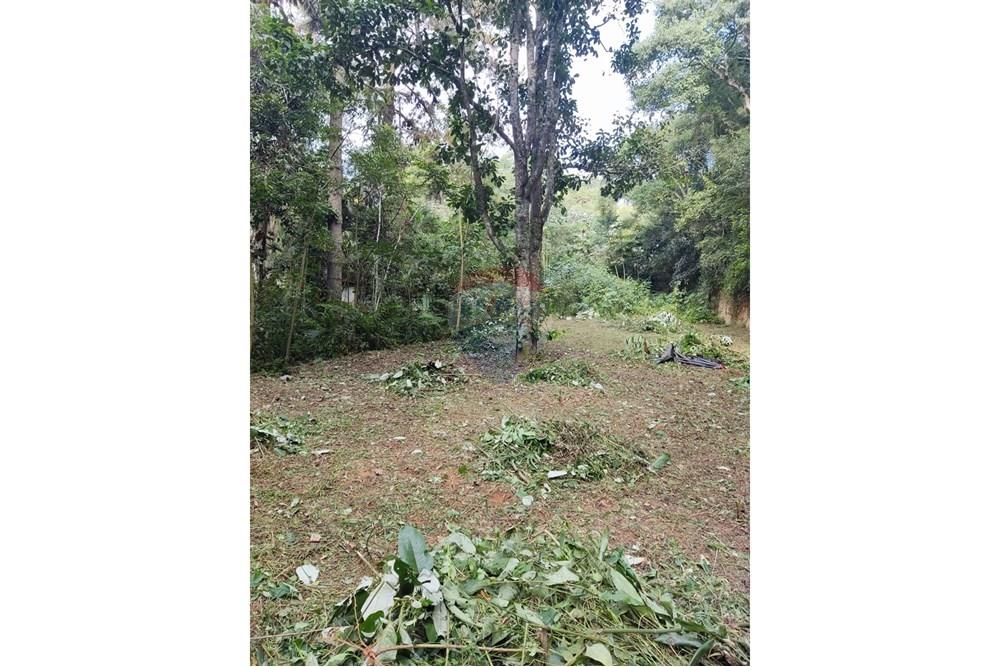 Terreno - Venda - Arujá , São Paulo - WhatsApp Image 2025-09-26 at 14.34.42.jpeg - 601351175-64